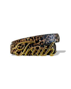 'Belt of Truth' in Leopard