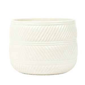 pots: Eva White Gloss Ceramic Pot 15cm