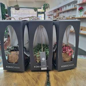 KOKODAMA