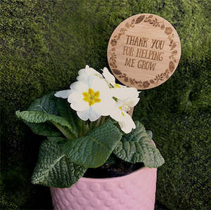 Teacher Gifts 1: Thanks For Helping Me Grow Plant Stake