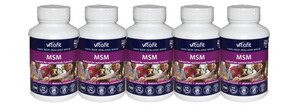 Products: MSM 5 pack by Vitafit - Lovely Health