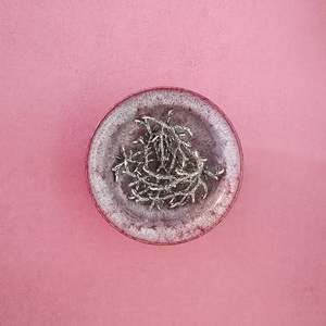 All: Antler Charm