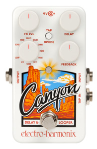 Other Musical Instruments and Accessories: Electro Harmonix Canyon Delay & Looper