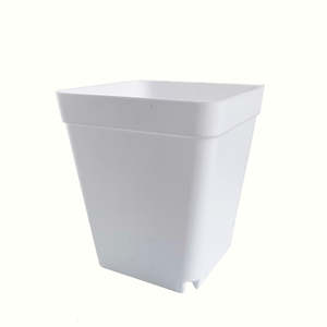 Pots: Crew Mini Pot Square - 7.5cm x 6.5cm - WHITE