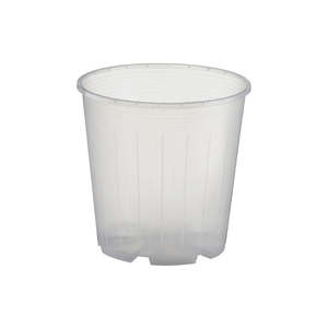 Rain 10 Clear Nursery Pot - 10cm x 10cm - from 83c each