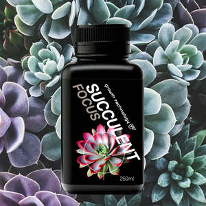 Growth Technology SUCCULENT Focus - 250ml