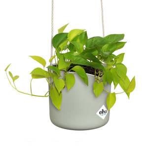 Elho: Elho Swing Stackable Hanging Pot - 100% Recycled - 18cm Sage