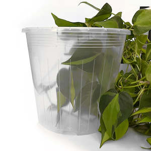 Pots: Rain 23 Clear Nursery Pot - 23cm x 20.5cm - 6L - from $3.20 each