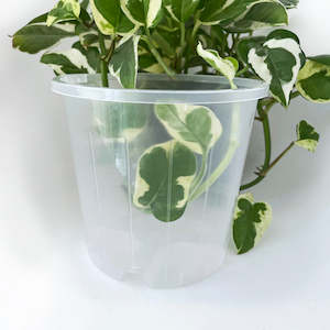 Pots: Rain 14 Clear Nursery Pot - 14cm x 12.5cm - 1.3L - from 90c each