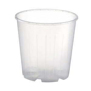 Plastic: Rain 17 Clear Nursery Pot - 17cm x 15cm - 2.5L - from $1.50 each