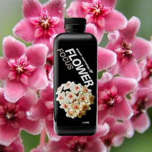 Propogation: Growth Technology GT FLOWER Focus - 1 litre