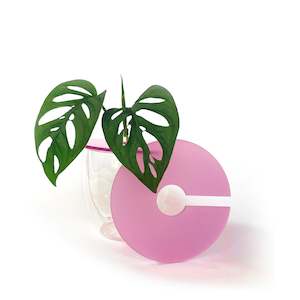 Propogation: Claroplants - BUBBLEGUM