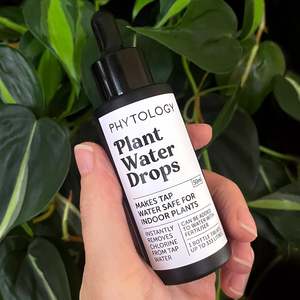 Indoor Plant Fertiliser: Phytology Plant Water Drops - 50ml
