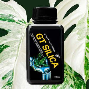 Indoor Plant Fertiliser: Growth Technology SILICA 250ml