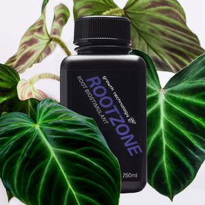 Indoor Plant Fertiliser: Growth Technology GT Rootzone - 250ml