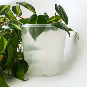 Plastic: Rain 17 Clear Nursery Pot - 17cm x 15cm - 2.5L - from $1.50 each