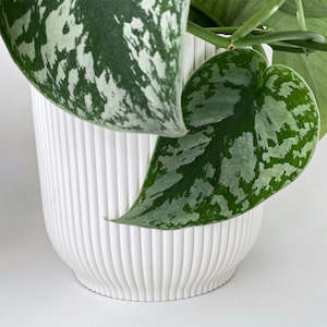 White: Cover Pot - Elho Vibes - 16cm Eggshell White