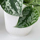 Cover Pot - Elho Vibes - 16cm Eggshell White