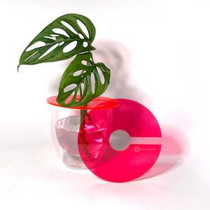 Propagation Supplies: Claroplants - NEON PINK