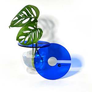 Propagation Supplies: Claroplants - BLUE