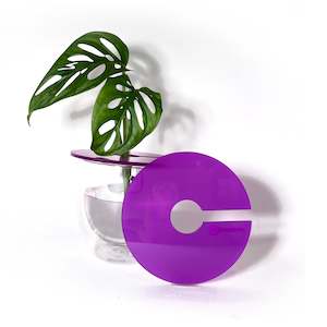 Propagation Supplies: Claroplants - AMETHYST