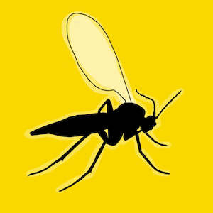 Insect Control: Fungus Gnat Treatment Kit (3 products)