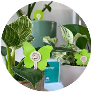 Insect Control: uBloomd Green Sticky Traps NATURE COLLECTION for flying pests - 10 traps / 10 sticks