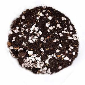 Nz Made: Bio Leaf Potting Mix for MOISTURE LOVERS - African Violets, Peace Lilies, Begonias, Marantas, Ferns - 5 Litre