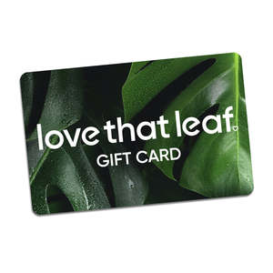 Gift Ideas: Love That Leaf Gift Card