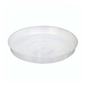 Rain Clear Saucer - MEDIUM - Best match for 14cm to 16cm pots