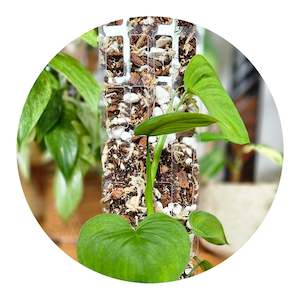 Wildvine Grow Pole Blend - 6 litre