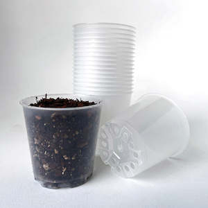 Clear Pots Orchid Pots: TEKU MINI Clear Nursery Pot - 5.5cm x 5.5cm