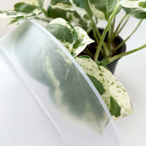 ELHO Basics Transparent Nursery Pot - 15cm wide x 14cm high