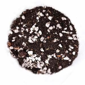 Bio Leaf African Violet Potting Mix - 2 litre - Also for Peace Lilies, Begonias, Ferns
