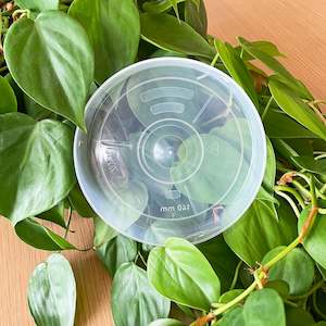 Rain Clear Pots: Rain Clear Saucer - Medium 13.5cm - Best match 14cm to 16cm pots - From $1.50 each