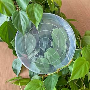 Rain Clear Saucer - Extra Large 19.5cm - Best match 20cm to 23cm pots - From $2.40 each