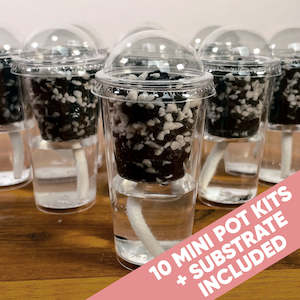 Propogation: Pup Cup Stratum Complete Propagation Kit from The Rare Plantation