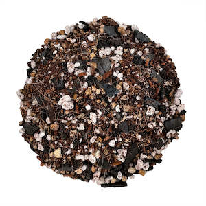 New: Begonia Blend from The Rare Plantation - 2 litre