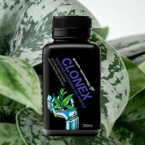 Growth Technology GT CLONEX Rooting Gel - Purple 250ml