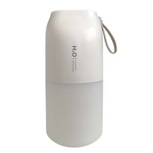 H2O Cordless Indoor Plants Humidifier - 300ml