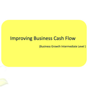 Business Growth: Improving Business Cash Flow Workbook