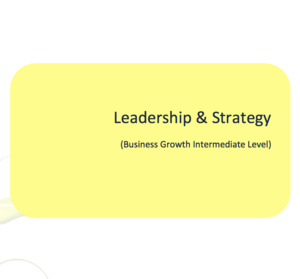 Business Growth: Leadership & Strategy Workbook