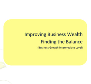 Improving Business Wealth - Finding the Balance Workbook
