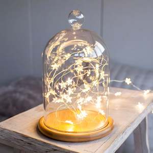 Seed Fairy Lights: Star Fairy Lights | 10m | USB | Decorative Indoor