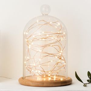 Seed Fairy Lights: Copper 5m Fairy Lights | Warm White | AA Battery | Decorative Indoor