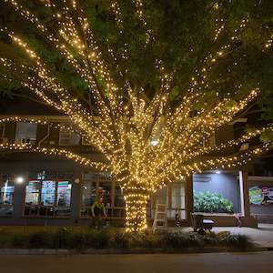 Outdoor Low Voltage Fairy Lights | 10m White Rubber Cable Connectable | Pro Seri&hellip;