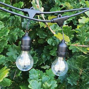 All Lights: A60 Clear Bulb | 15m 15 Bulbs | Drop Hang Dimmable Festoon Lights