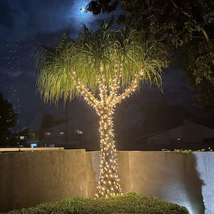 Small Outdoor Low Voltage Fairy Lights Tree Kit | Black Cable | 40m