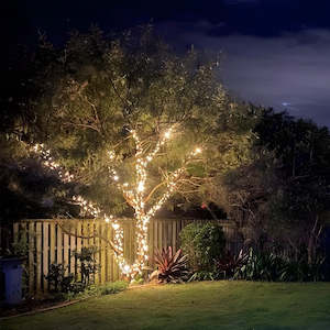 Small Outdoor Standard 230v Fairy Lights Tree Kit | Black Cable | 40m