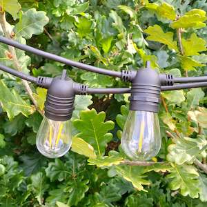 Deck Lights 1: S14 Clear Bulb | 10m 10 Bulbs | Flush Mount Dimmable Festoon Lights